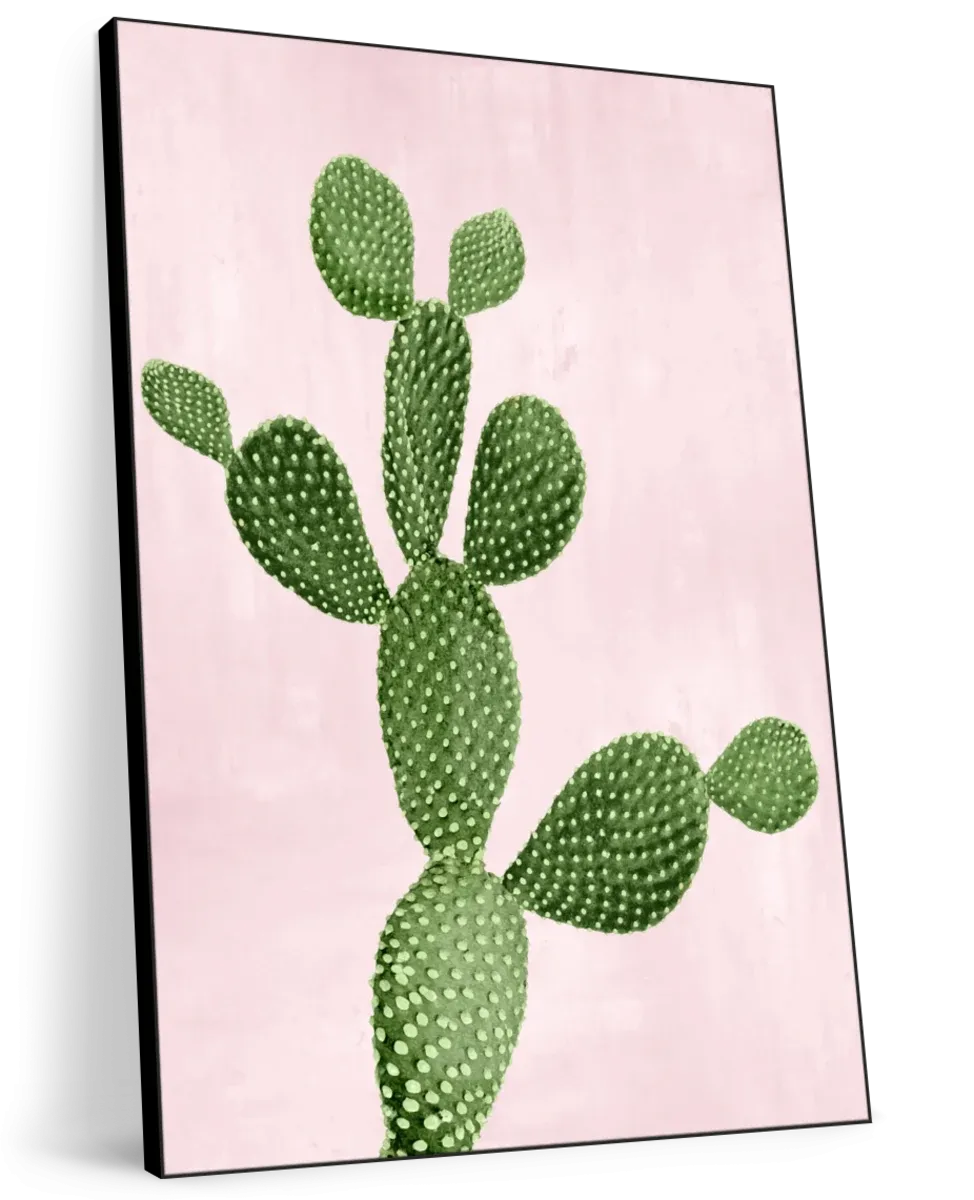 A Cactus On Pink VII Wall Art