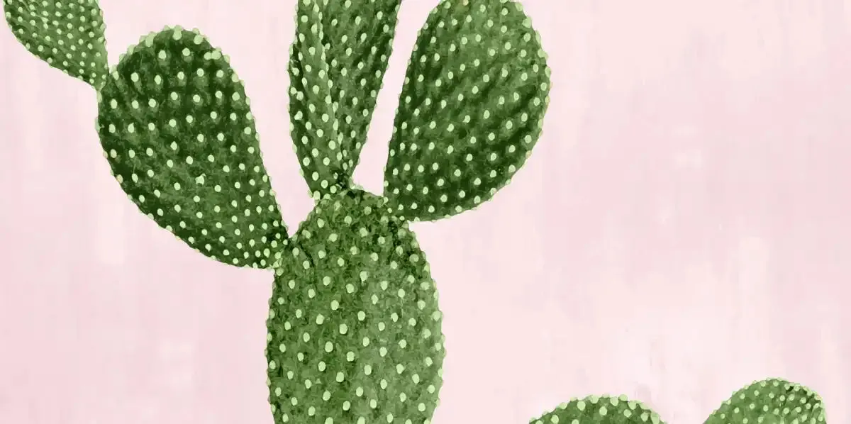 A Cactus On Pink VII Wall Art