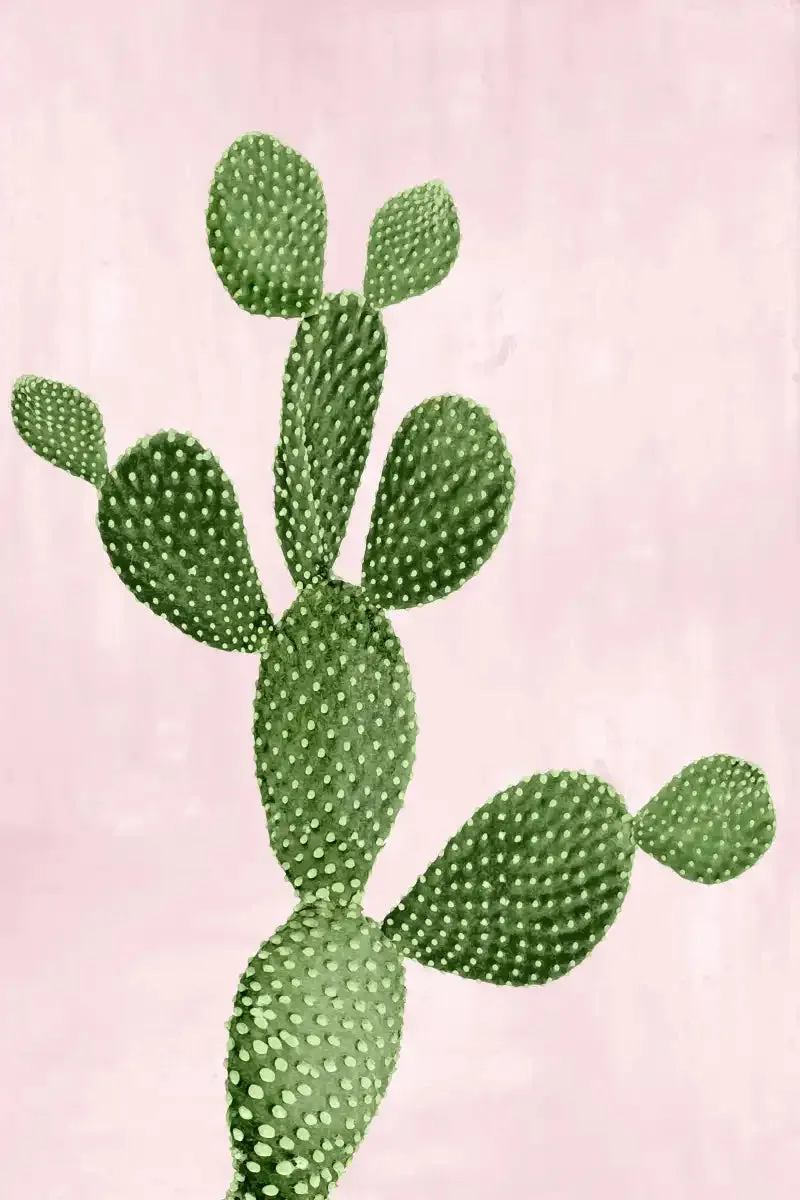 A Cactus On Pink VII Wall Art