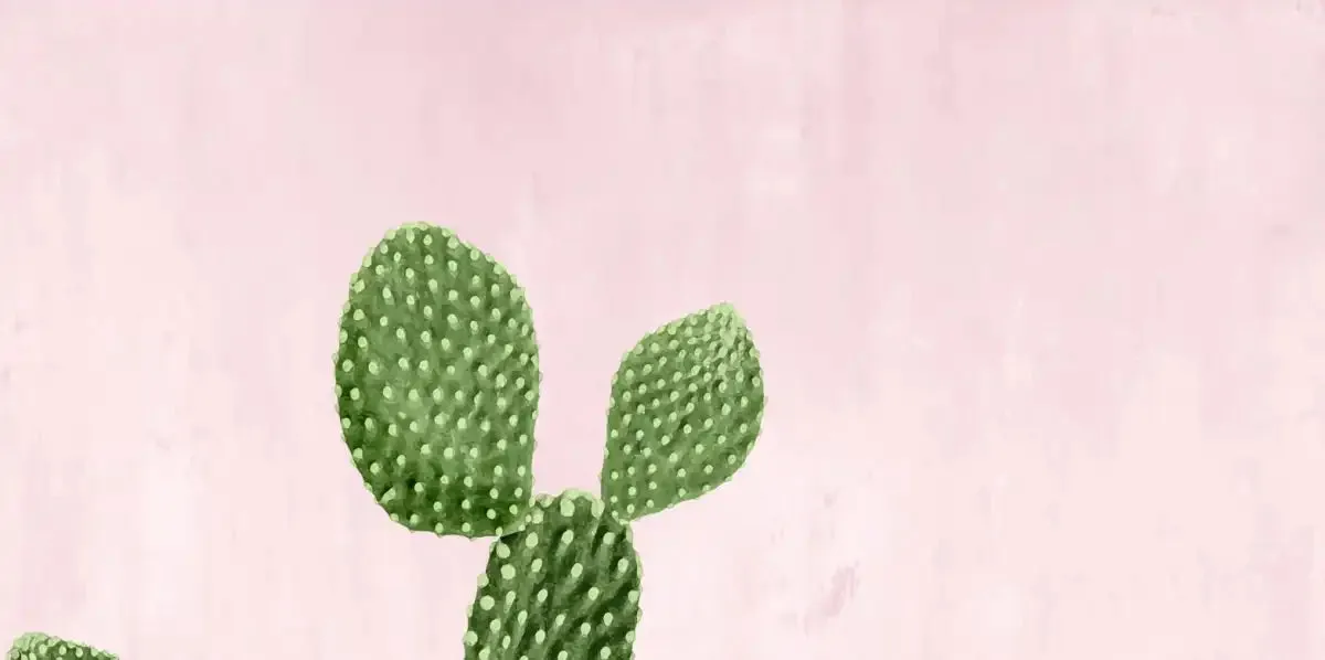 A Cactus On Pink VII Wall Art