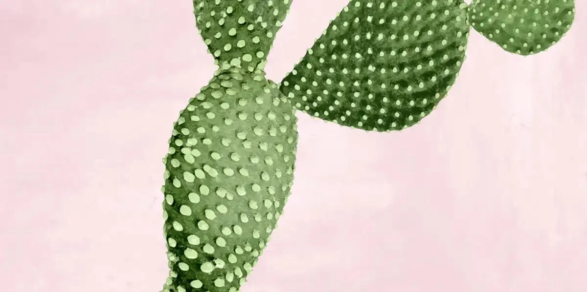 A Cactus On Pink VII Wall Art