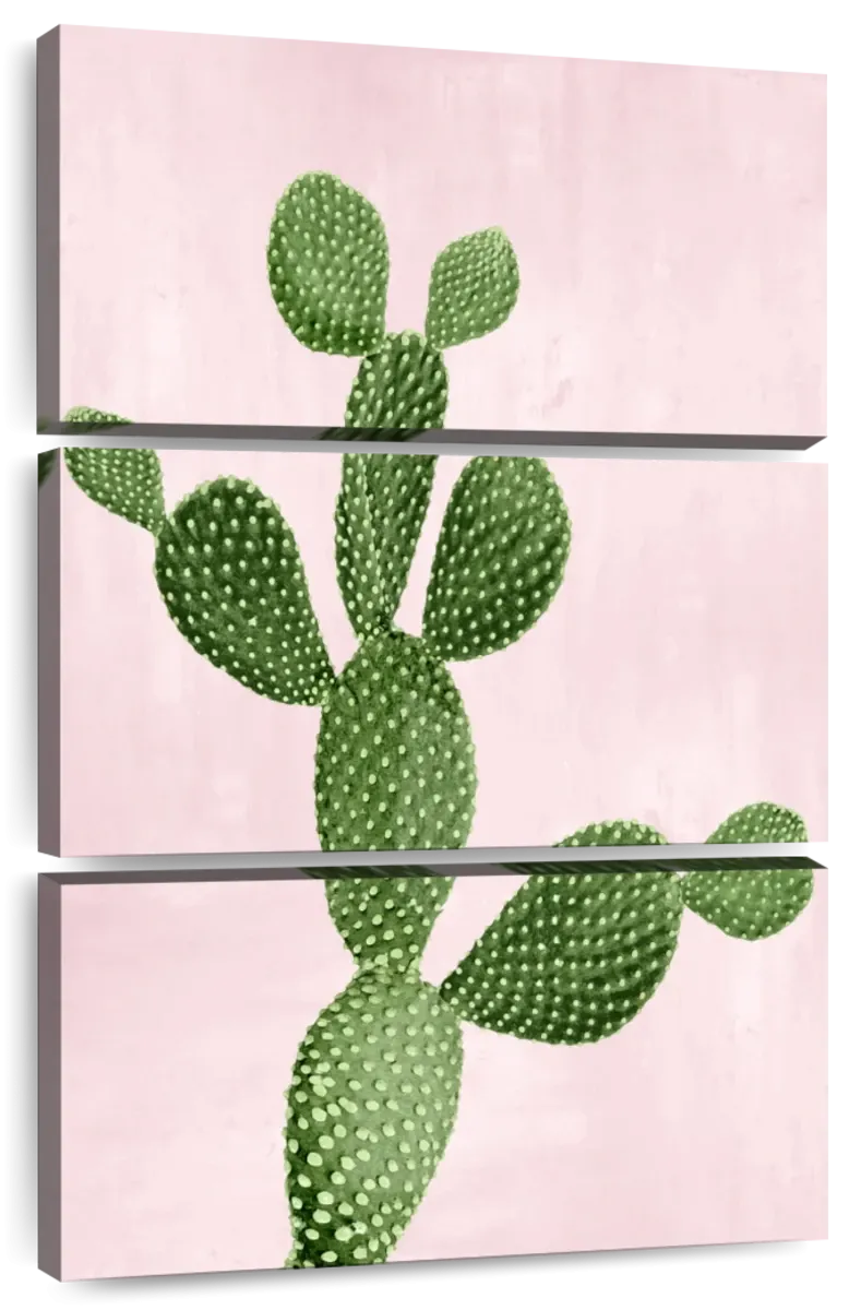 A Cactus On Pink VII Wall Art