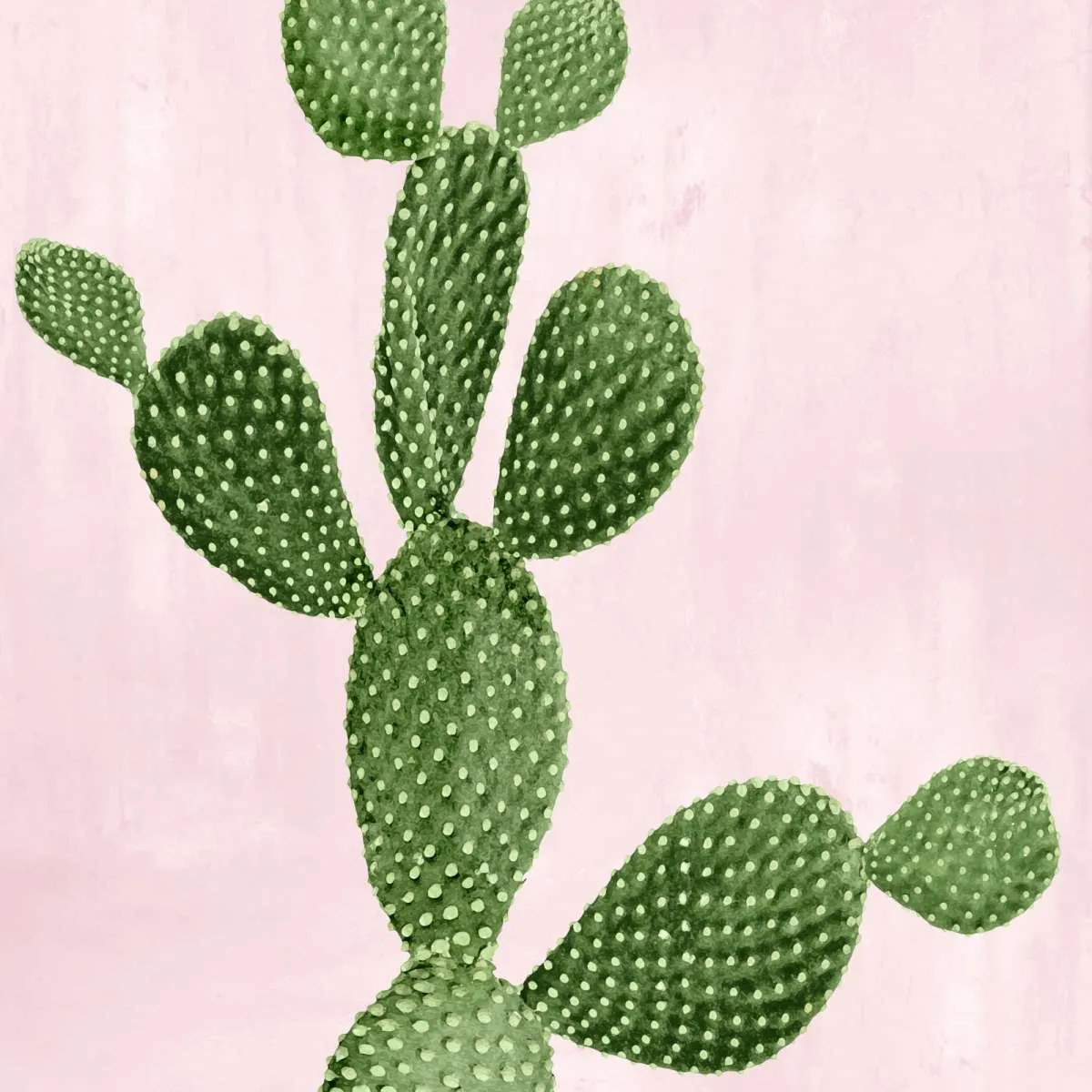 A Cactus On Pink VII Wall Art