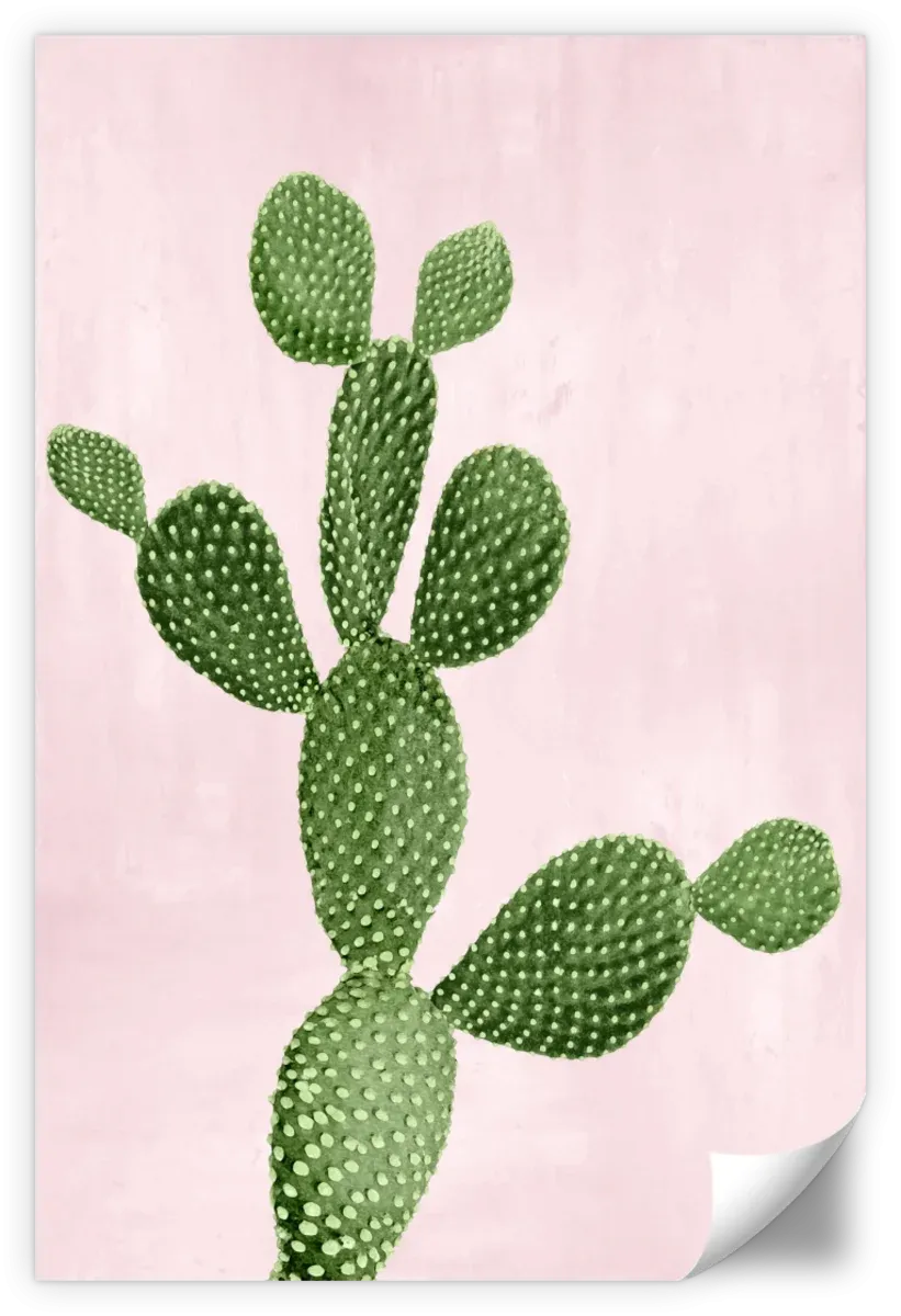 A Cactus On Pink VII Wall Art