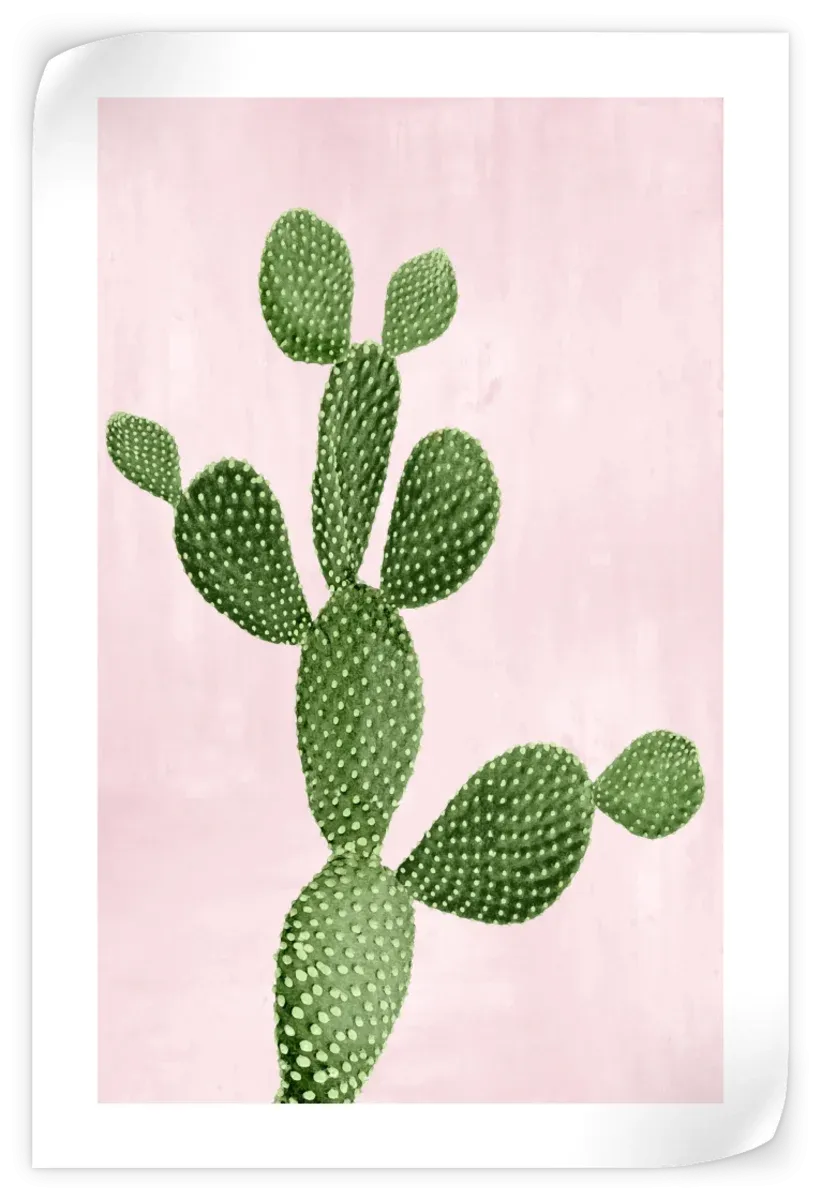 A Cactus On Pink VII Wall Art