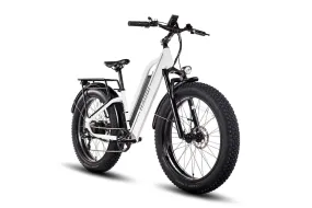 HAOQI White Leopard Pro 20Ah Step Thru Fat Tire Electric Bike