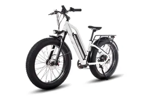 HAOQI White Leopard Pro 20Ah Step Thru Fat Tire Electric Bike